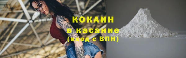 молекула духа Дмитриев