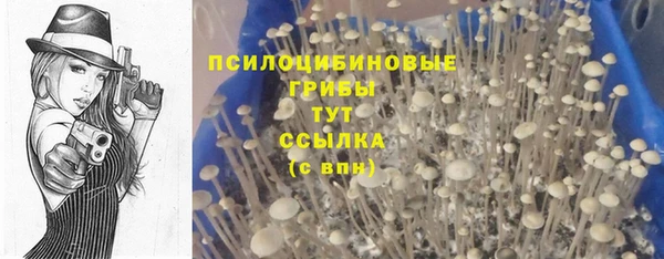 apvp Алексеевка