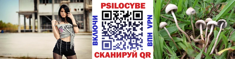 гидра как зайти  Новое Девяткино  Псилоцибиновые грибы Cubensis 